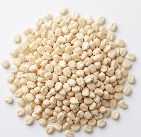 White Maize